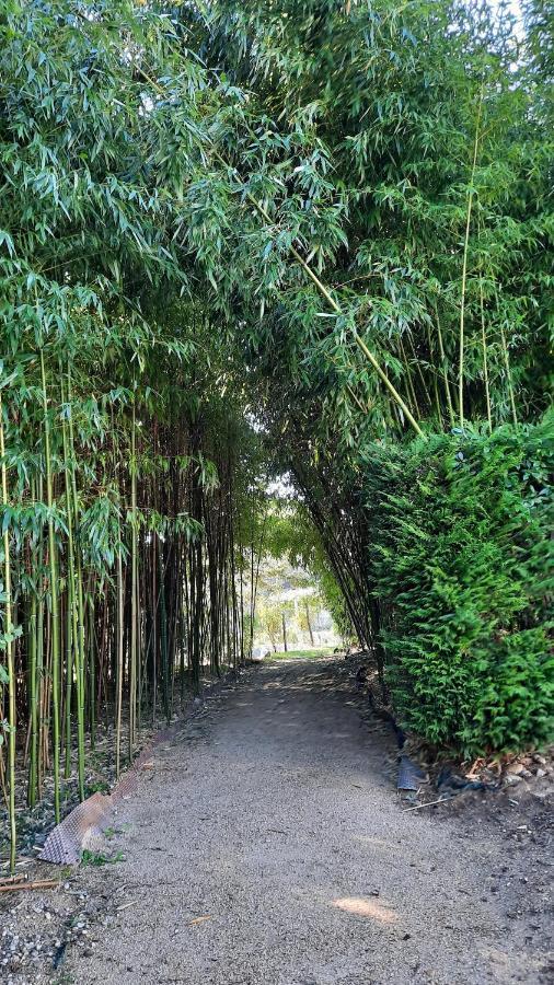 Puravida Appart'S Lagnieu ภายนอก รูปภาพ